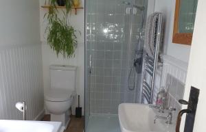 een badkamer met een toilet, een wastafel en een douche bij West House in Stein