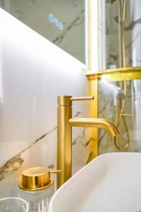 Appartement luxueux Victor Hugo - II