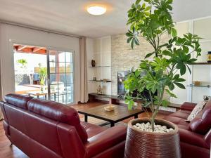 a living room with a leather couch and a plant at Villa Pol Lanzarote in Puerto Calero