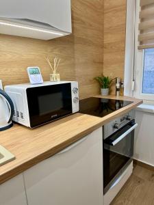 eine Mikrowelle auf einer Theke in einer Küche in der Unterkunft Mate Gold Apartment in Szeged
