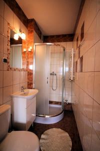 a bathroom with a shower and a toilet and a sink at Pokoje gościnne Kamińscy in Gliczarów +72 photos