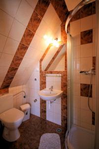 a bathroom with a sink and a toilet and a shower at Pokoje gościnne Kamińscy in Gliczarów