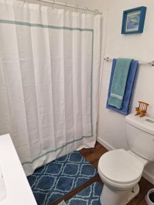 a bathroom with a toilet and a shower curtain at Downtown Abbey @ DODD in Atlanta