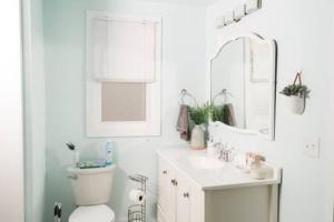 a bathroom with a toilet and a sink and a mirror at 4bd 2b 10gst Fenced Yard NEW Spacious Retreat in Lincoln