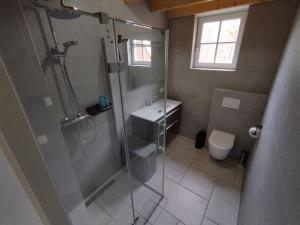 a bathroom with a shower and a sink and a toilet at De Dagloner in Nieuwlande +21 photos