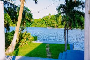バヘイリーニャスにあるPousada do gaúchoの椰子の木の水の景色