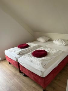 two beds with red pillows on them in a room at Villa vakantiehuis in Ewijk