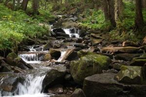 a stream of rocks and waterfalls in a forest at Forest Cwtch by Afan Valley Escapes in Port Talbot