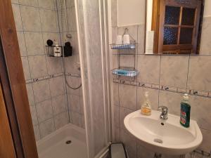 a bathroom with a sink and a shower at Dom Gościnny Dudek in Krynica Zdrój