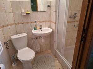 uma casa de banho com um WC, um lavatório e um chuveiro em Dom Gościnny Dudek em Krynica Zdrój