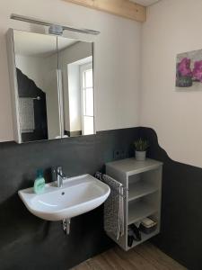 a bathroom with a white sink and a mirror at Haus Mariechen Whg 2 in der Nähe zum Silbersee mit gemütlicher Terrasse & Sauna in Frielendorf +11 photos