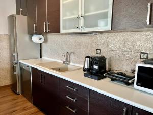 a kitchen with a sink and a microwave at ZEN Apartments in Alexandroupoli