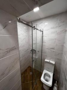 uma casa de banho com um WC e um chuveiro em Apartman Jovana em Herceg Novi