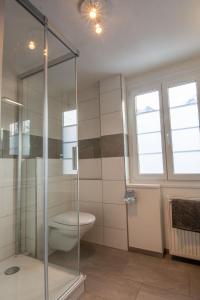 a bathroom with a toilet and a glass shower at Chalet Azeno EG in Adelboden