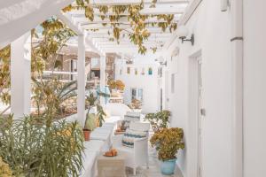 una veranda bianca con sedie e piante bianche di Dibellee Mykonos boutique studios a Glastros