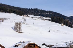 a snow covered hill with a house on it at Appartment Lanz in Dobbiaco