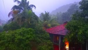 une maison au milieu d'une jungle avec des palmiers dans l'établissement Sewana Guest INN, à Wellawaya