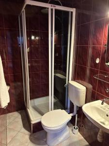 ein Bad mit einer Dusche, einem WC und einem Waschbecken in der Unterkunft Willa Gronik in Zakopane
