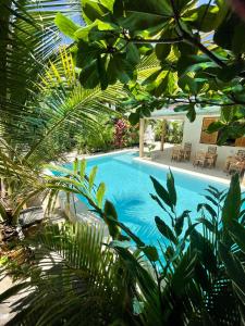 a swimming pool surrounded by trees and plants at Nakupenda paje villa in Paje