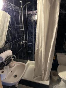 ein Bad mit einem Waschbecken, einem WC und einer Dusche in der Unterkunft Willa Gronik in Zakopane