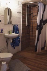 a bathroom with a shower and a sink and a toilet at Paganamaa puhkemaja ja peosaal in Liguri