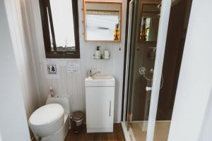 a small bathroom with a toilet and a sink at River Ridge Tiny House in South Arm