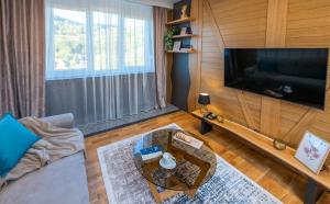 ein Wohnzimmer mit einem großen Flachbild-TV in der Unterkunft Luxury Mountain Getaway MM2 in Kolašin
