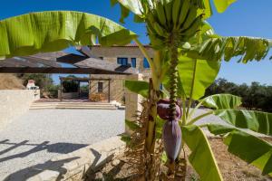 Κήπος έξω από το Villa Aliki - Traditional stone house with maximum privacy and stunning views !