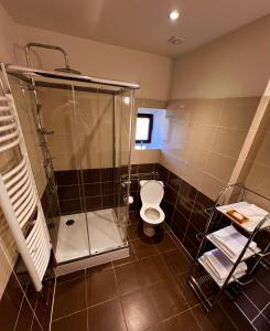 uma casa de banho com um chuveiro e um WC. em Stará pošta em Telnice