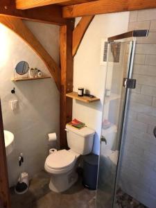 a small bathroom with a toilet and a shower at Timber frame guesthouse in NE Portland in Portland