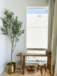a potted tree in a room next to a window at 1 BR exceptional house PCHL-TOP in Topanga