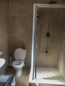 a bathroom with a toilet and a shower at Obz House in Cape Town