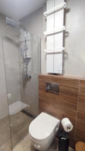 a bathroom with a toilet and a glass shower at Studio Amore by Montebello in Zlatibor +31 photos