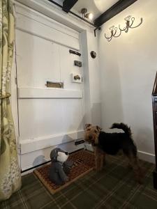 a dog standing next to two stuffed animals in a room at Eglantine in Crondall
