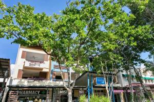 道格拉斯港Escape for Two - A Boutique Tropical Treasure的前面有一棵树的建筑物