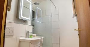 Un baño con inodoro, lavabo y ducha. en Ferienwohnung 109 Schwarzwald, en Schönwald 9 fotos más
