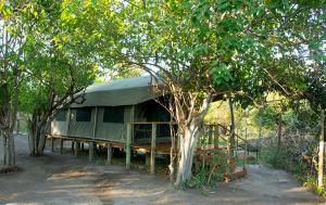 a green tent sitting in the middle of trees at Candies Vacation Cottage Khwai in Khwai