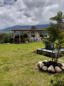 een tuin met een prieel en een boom bij HOTELERIA CASA MAYA in Riobamba