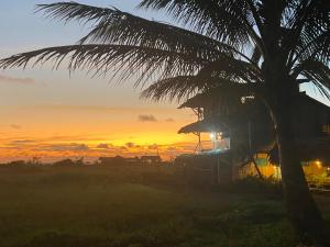 una palmera con una puesta de sol en el fondo en Iguana Azul Pacific Paradise, en Buenaventura