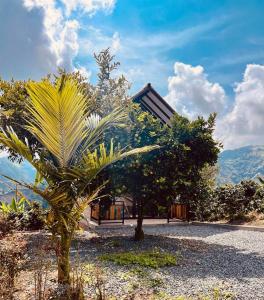 a palm tree in front of a building at El refugio del Guayacán in Manizales