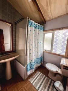 a bathroom with a shower and a sink and a toilet at Hospedaje Los Angeles in Futaleufú