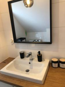 a bathroom sink with a mirror above it at Słoneczna Polana nad Biebrzą in Goniadz +18 photos