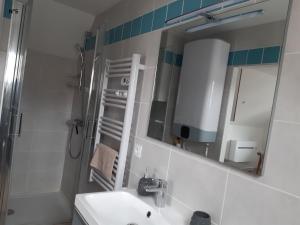 uma casa de banho com um lavatório, um chuveiro e um espelho. em Les Cactus em Bagnères-de-Bigorre