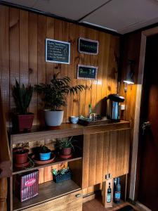 Habitación con paredes de madera y estanterías con macetas. en Hospedaje Los Angeles, en Futaleufú