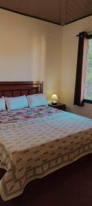 a bedroom with a large bed and a window at Alan's 3BHK in Nainital