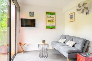 een woonkamer met een bank en een tv bij Le planteur in Rivière-Pilote