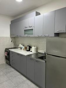 a kitchen with gray cabinets and a sink at The Loft in Kumanovo