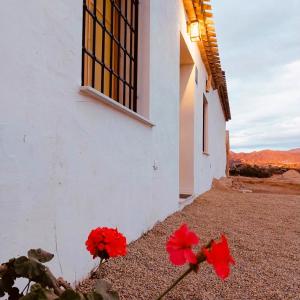 un bâtiment blanc avec des fleurs rouges à côté d'une fenêtre dans l'établissement Casa Vacaciones ALMADRABA CABO COPE, à Águilas