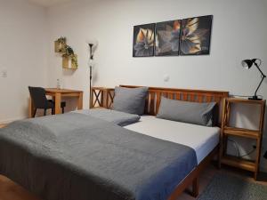 Schlafzimmer mit einem Bett und einem Schreibtisch in der Unterkunft City Pension Zwickau in Zwickau