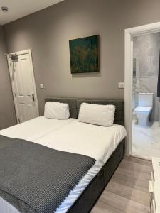 1 dormitorio con 2 almohadas en Double Room London, en Londres